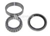 FLENNOR FR940173 Wheel Bearing Kit